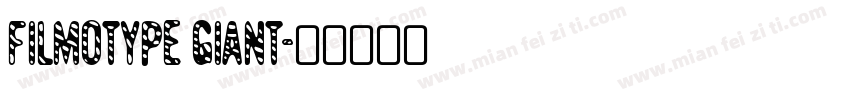 Filmotype Giant字体转换